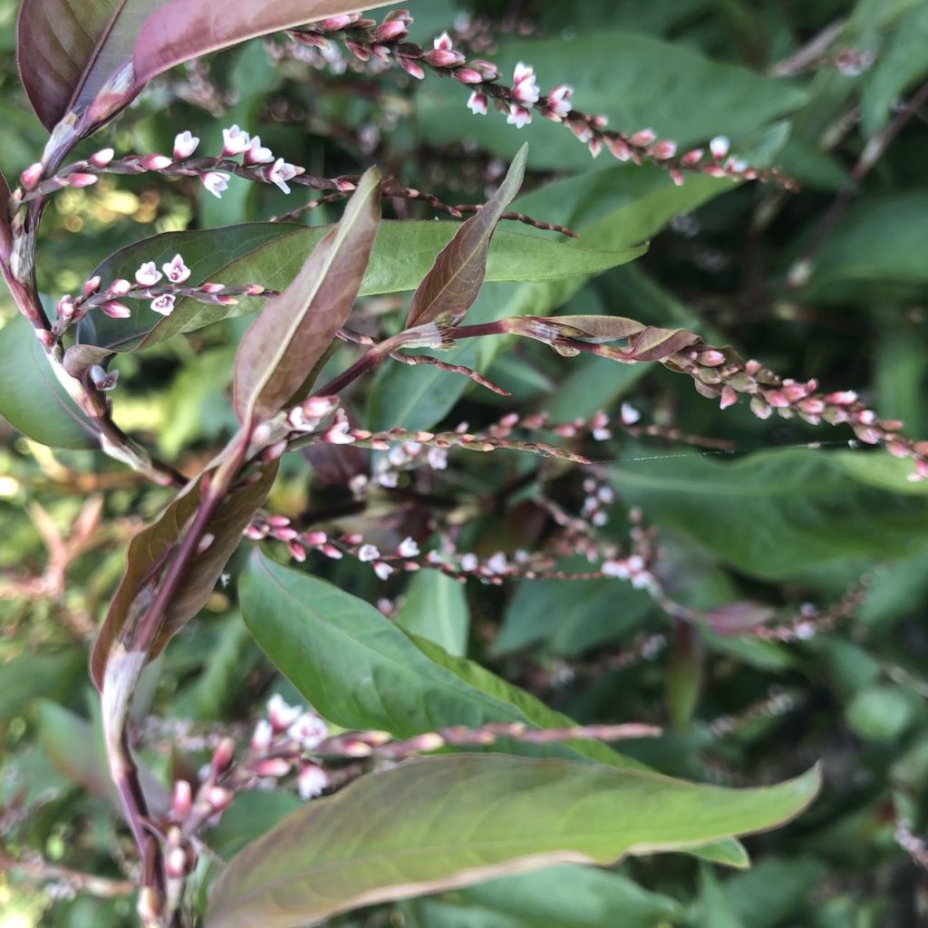 46b504c9b3d916dc45269c0e7c33314